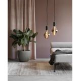 Calex Organic EVO XXL Titanium - E27 LED Lamp - Filament Lichtbron Dimbaar - 6W - Warm Wit Licht