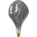 Calex Organic EVO XXL Titanium - E27 LED Lamp - Filament Lichtbron Dimbaar - 6W - Warm Wit Licht