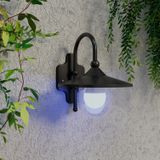 Calex Smart Outdoor lamp E27 | Peer A60 |  RGB + 1800K-6500K | 806 lumen | 9.4W