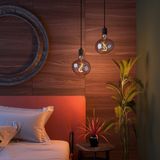 Calex - Pebble - Filamentlamp - Warm Wit - E27 Fitting - Titanium Glas