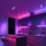 Calex - Smart LED Plafondspot - Wit - 2-Lichts Ovaal - Draaibaar - Dimbaar - WIFI App- & Spraakbediening