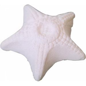 Zuurstofsteen - Aquariumaccessoire