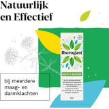 Iberogast Druppels - 1 x 20 ml