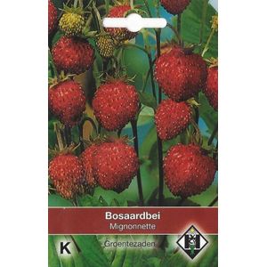 Van Hemert - Bosaardbei Mignonnette