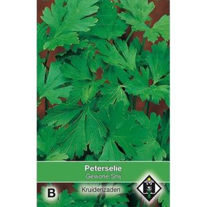 Van Hemert Zaden - Peterselie Gewone Snij (Petroselium crispum)
