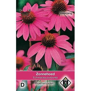 Van Hemert & Co - Zonnehoed rood (Echinacea purpurea)