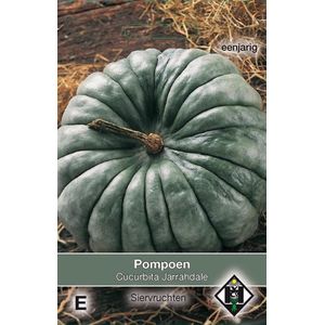 Van Hemert & Co Pompoen Jarrahdale (Cucurbita maxima)