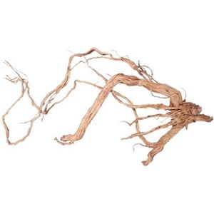 Hs Aqua Azalea Root M 50-80 Cm Per Stuk