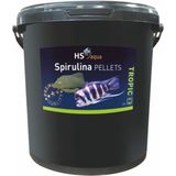 HS Aqua Spirulina Pellets S 20L
