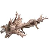 Aquariumhout - Corbo-root M - (30/40 cm)