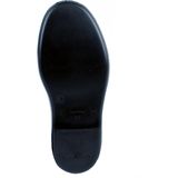 Dunlop Desinfectielaars Acifort Biosecure unisex CE maat 44 groen