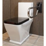 Toiletbeugel Handicare Linido Opklapbaar Aangepast Sanitair 70 cm RVS Gepolijst Antraciet Handicare