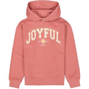 Sweatshirt - Normale Pasvorm - Lange Mouw - Ronde Hals - Sweatstof - Tekst Print