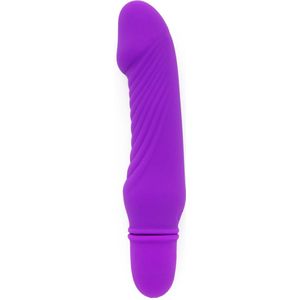 ToyJoy - Sexentials Delight Mini Vibe