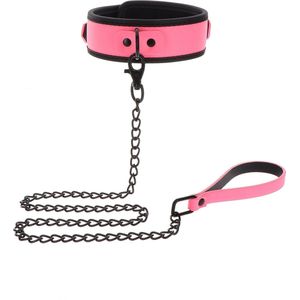 Collar And Chain Leash