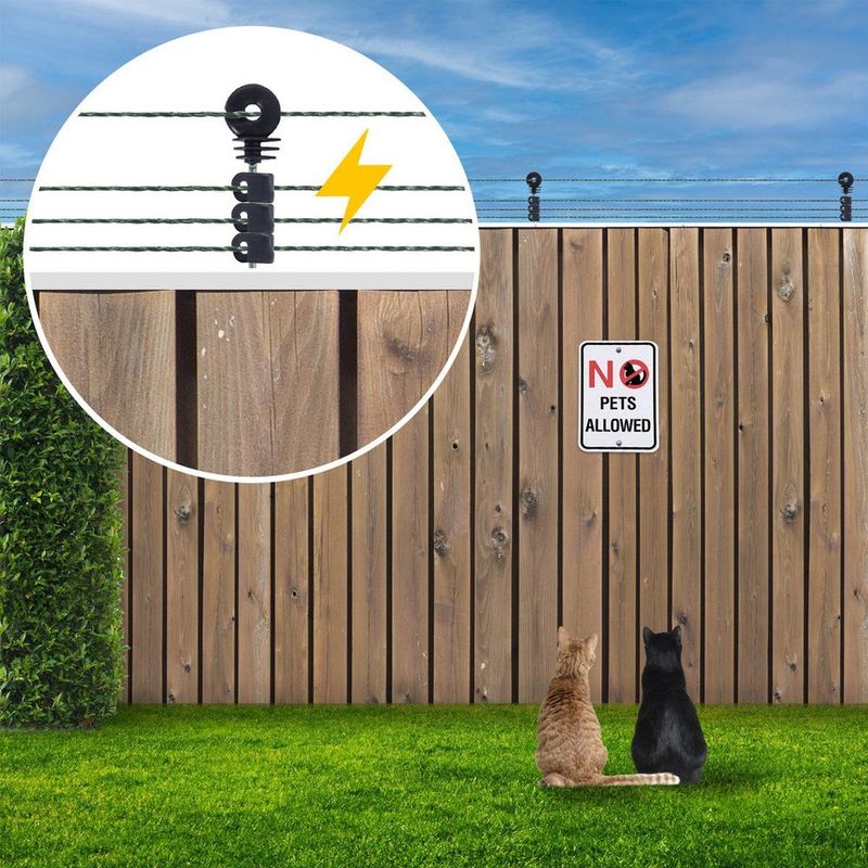 Gallagher - Katten Schrikdraad Set - 50 m - M35 - Compleet voor Schutting