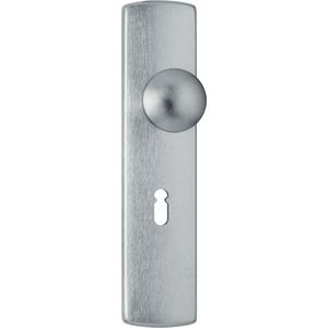 AXA 6210 Kastdeurschild Curve Klik kastknop SL55 F1 - 6210-70-11/56E