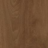 Koopmans - Perkoleum - Beits - Hoogglanzend - Oplosmiddelarm - Voor Houtwerk Buiten