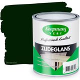 Verf - Zijdeglans - Binnen/Buiten - Standaard Kwaliteit - Goede Glansbehoud