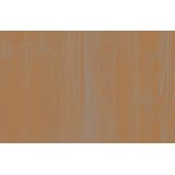 Beitz - Tuinhuis en Blokhut Beits - Donker Eiken - Transparant - Duurzaam