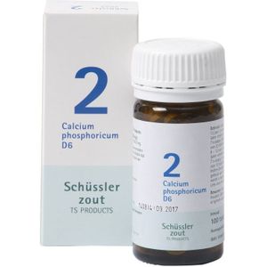 Pfluger Schussler Zout nr 2 CalciumPhosphoricum D6 - 1 x 100 tabletten