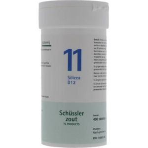 Pfluger Schussler Zout nr 11 Silicea D12 - 1 x 400 tabletten