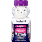 Sambucol Kids kauwtabletten 60 stuks