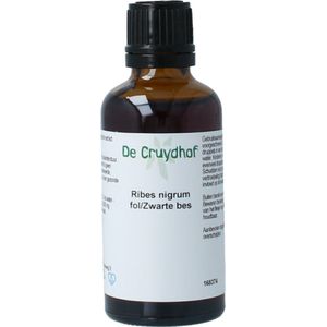 Cruydhof - Ribus nigrum & Zwarte Bes - Kruidenpreparaat - 200-300 mg gedroogd Zwarte Bes Blad