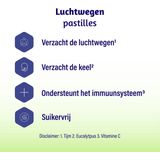 Dampo - Luchtwegen Pastilles - Gember - Suikervrij - Tijm en Eucalyptus
