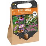 Florex bloembollen nuttige bloemen Lieveheersbeestjes 30 stuks