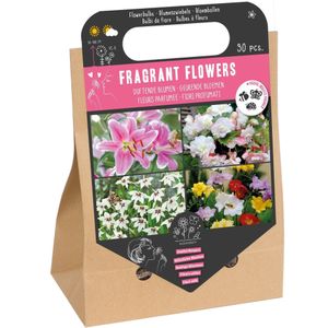 Florex bloembollen nuttige bloemen geurende bloemen 30 stuks