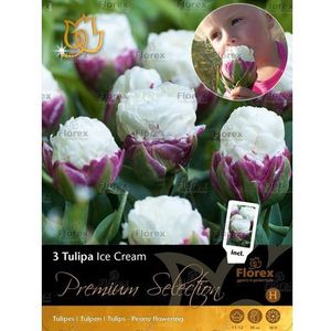 Premium-5 Tulp Ice Cream