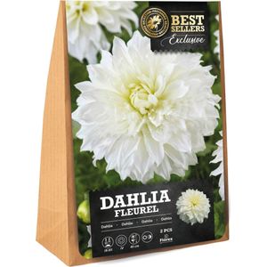 Florex Dahlia knol (Dahlia 'Fleurel') 2 stuks