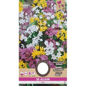 Allium Gemengd 4/5 30stuks