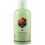 Bee Honest Shampoo Olijf & Propolis 250 ml