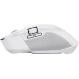 Trust Ozaa+ - Ergonomische Draadloze muis - Oplaadbaar - Multiconnect USB & Bluetooth - Wit