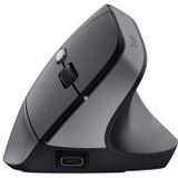 Trust TM-270 muis Kantoor Rechtshandig RF Draadloos Optisch 2400 DPI