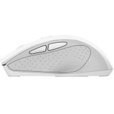 Trust - Nito Silent - Draadloze Muis - Wit - 10 Meter Bereik - Stille Knoppen