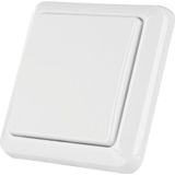 KlikAanKlikUit Opbouwschakelaar - AWST-8800