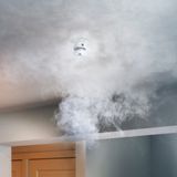 KlikAanKlikUit - Draadloze Rookmelder - ZSDR-850 - Slimme melder in combinatie met Bridge