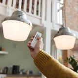 KlikAanKlikUit ACM-250-LD NL Ingebouwde LED-Dimmer Wit