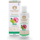 Haarolie - Vata - Normaal tot Droog Haar - Natuurlijke Ingrediënten