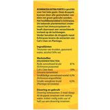 Bloem - Echinacea Vloeibaar - Immuunsysteem - 100ml - Echinacea Extract