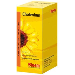 Cholenium