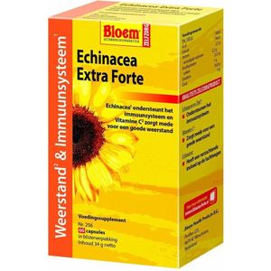 Echinacea