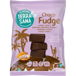 TerraSana - Fudge Choco - Vegan Snack - Glutenvrij - Zonder Toegevoegde Suikers