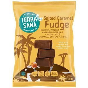 TerraSana - Salted Caramel Fudge - 150GR - Glutenvrij - Vegan