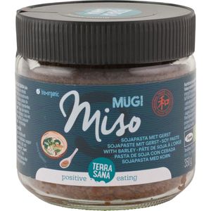 Terrasana Mugi Miso Ongep Glas
