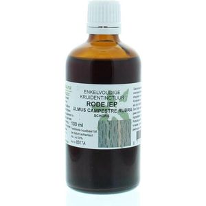 Cruydhof - Rode Iep Tinctuur - 100 ml - Voedingssupplement