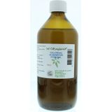 Cruydhof Cruyd Colloidaal Zilverwater 500 ml